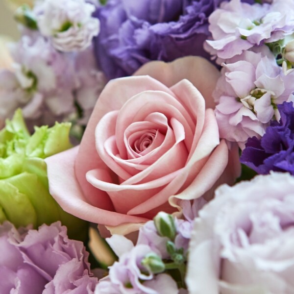 꽃집청년들,생일 꽃다발, 출산 꽃바구니, 전국 꽃배달 서비스, 당일 꽃 배달, 결혼기념일선물