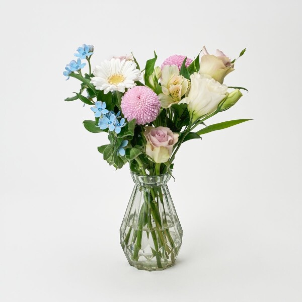 꽃집청년들,퍼플 블룸