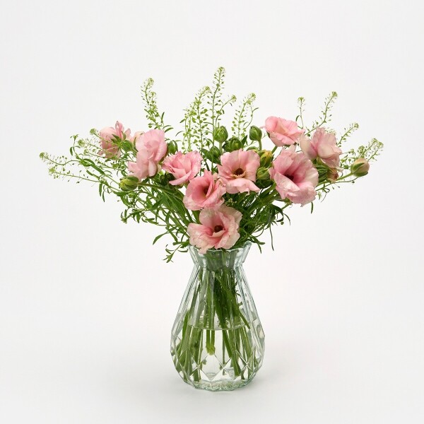 꽃집청년들,버터플라이 핑크 5대