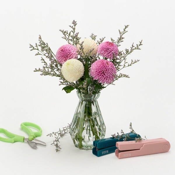 꽃집청년들,MIX 퐁퐁국화