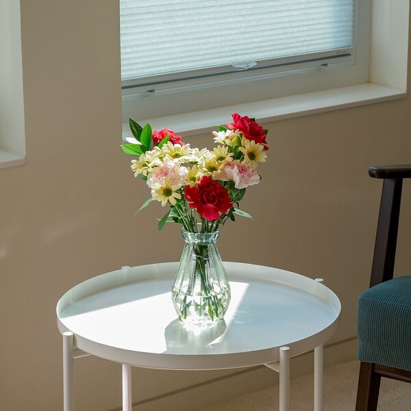 꽃집청년들,MIX 카네이션