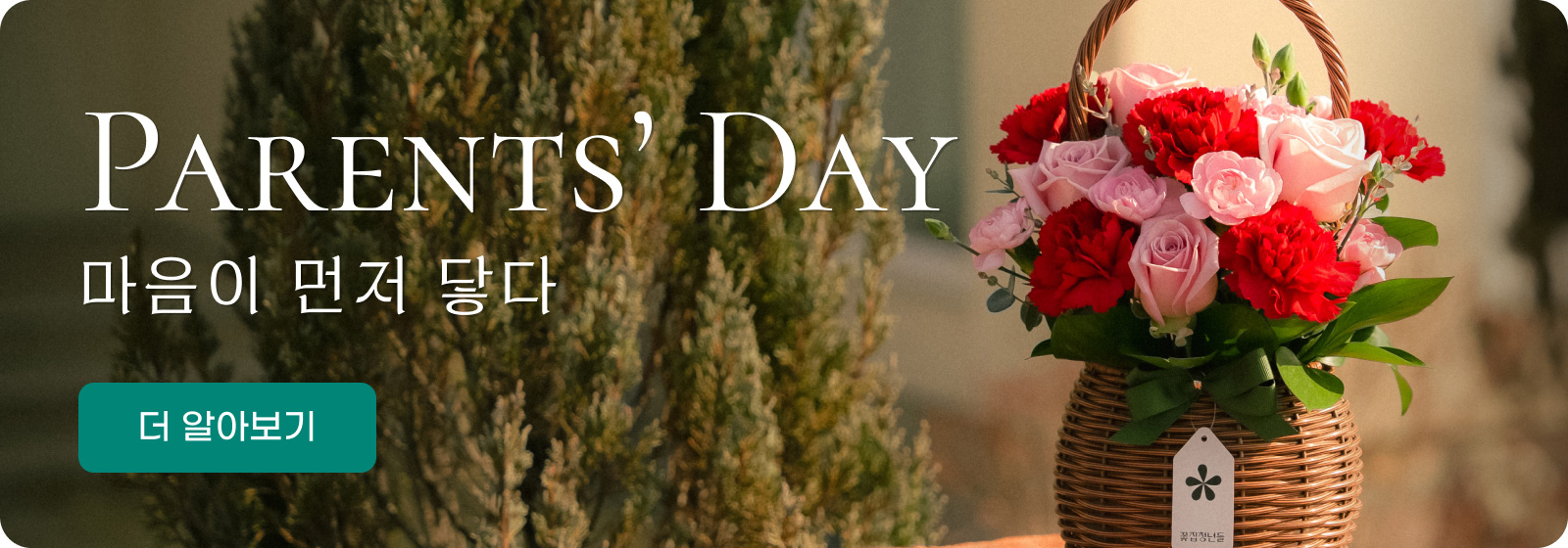 어버이날 상품 보기