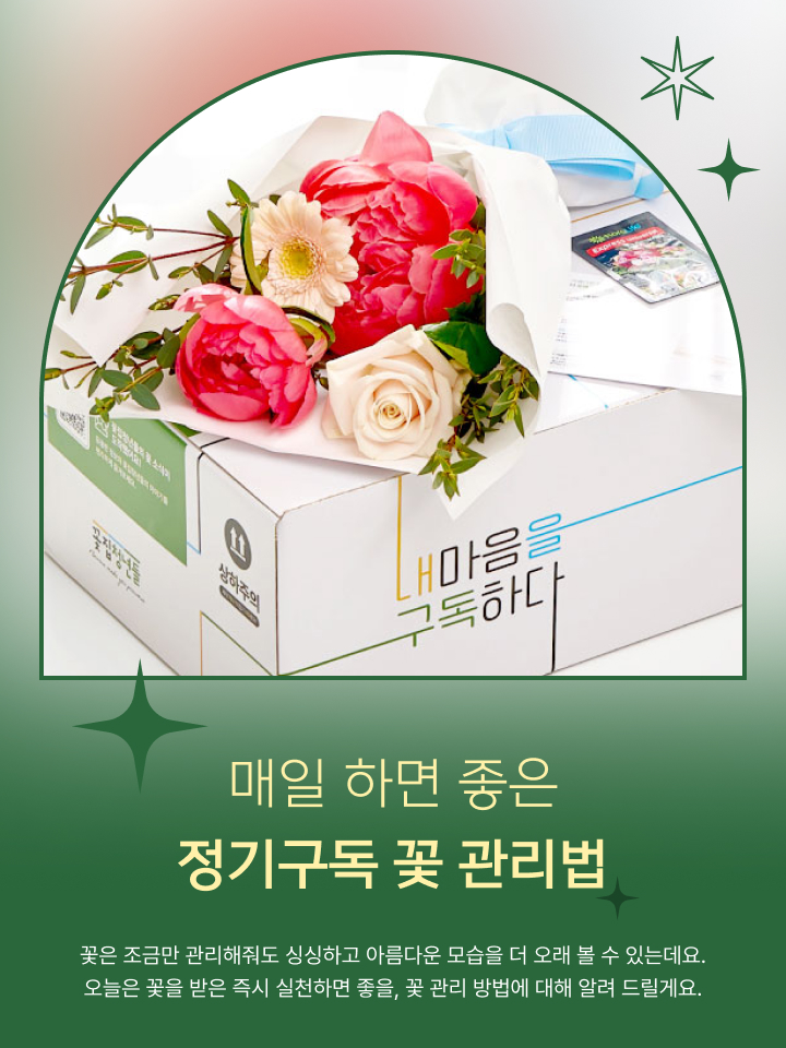 정기구독 꽃 관리법