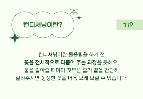 컨디셔닝이란? 물올림을 하기 전 꽃을 전체적으로 다듬어 주는 과정을 뜻해요.