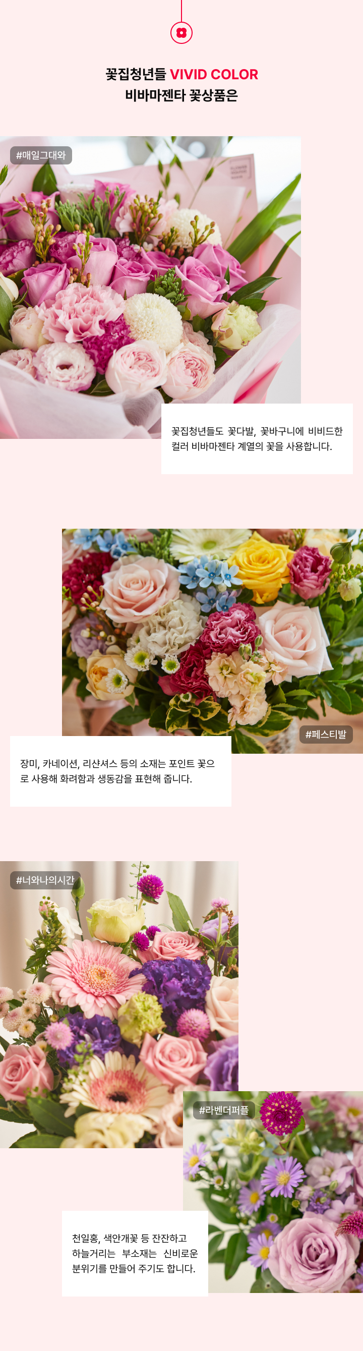 비바마젠타의 꽃상품