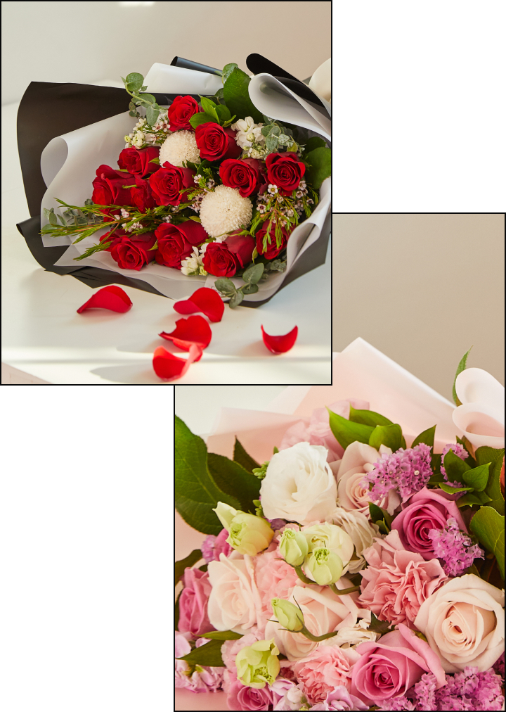 프랑스 꽃말사전 출판, 미국까지 확산