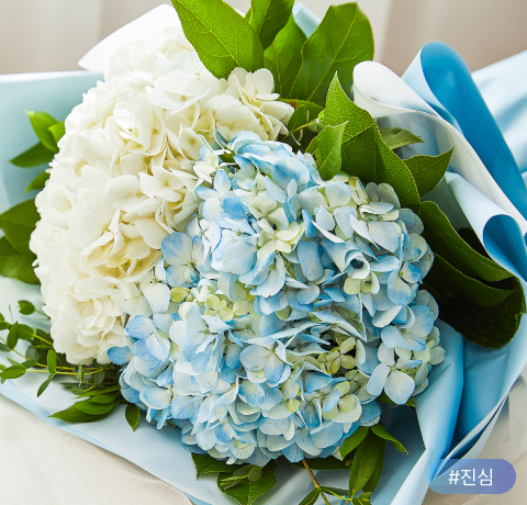 수국꽃다발