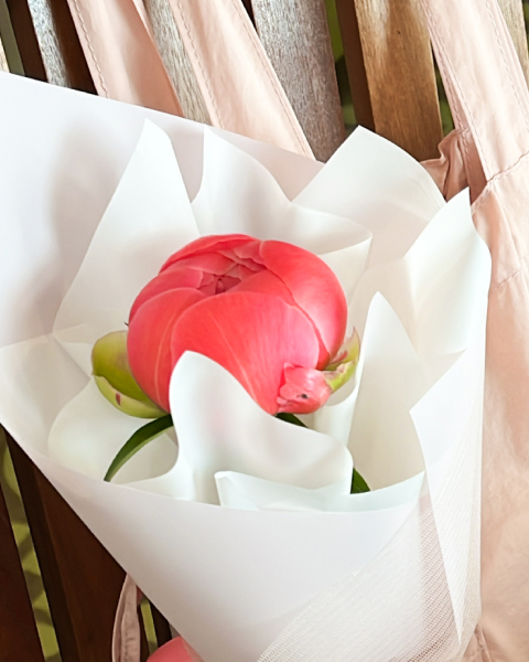 작약, 작약꽃, 꽃, 작약꽃다발