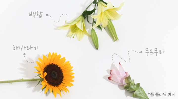 폼 플라워, 해바라기, 쿠르쿠마, 백합, 절화소재