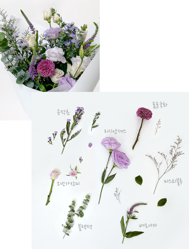 공작초, 보라꽃다발, 보라색꽃, 베로니카, 미스티블루, 오번가장미, 블랙잭, 리시안셔스, 꽃다발, 폼폰국화, 꽃집청년들