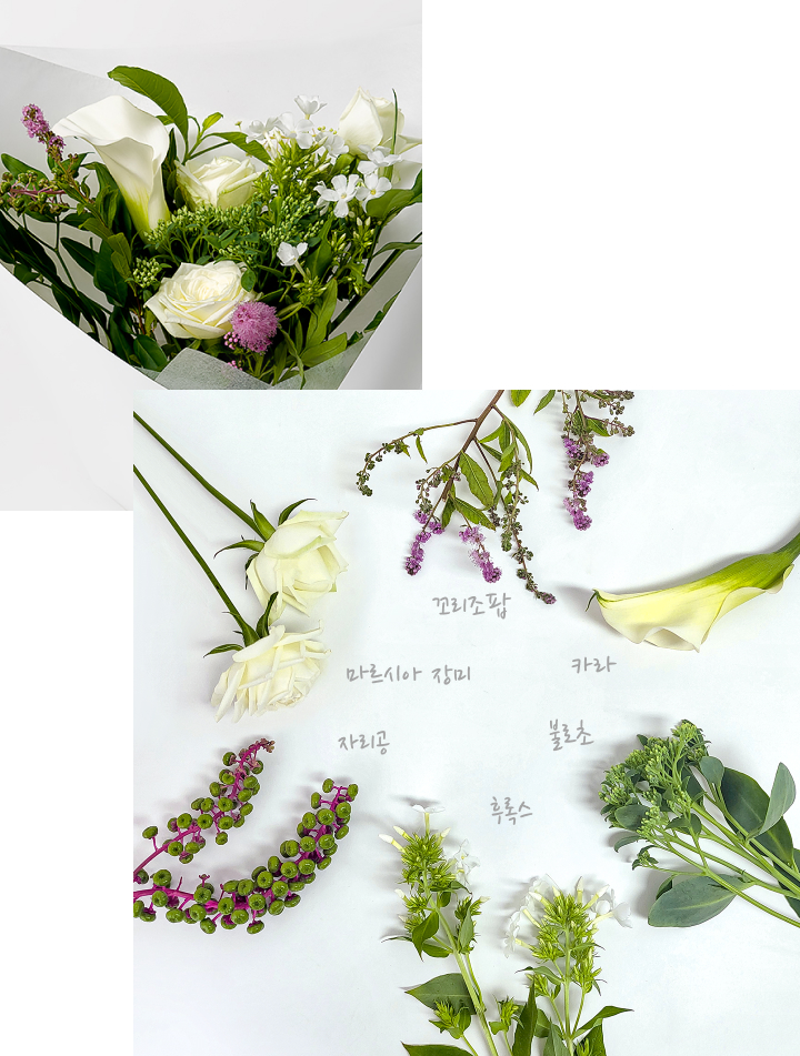 카라, 꼬리조팝, 불로초, 후록스, 자리공, 마르시아 장미, 화이트꽃다발