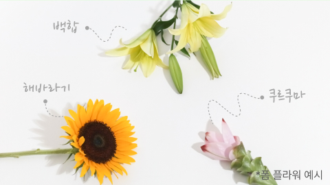 폼 플라워, 해바라기, 쿠르쿠마, 백합, 절화소재