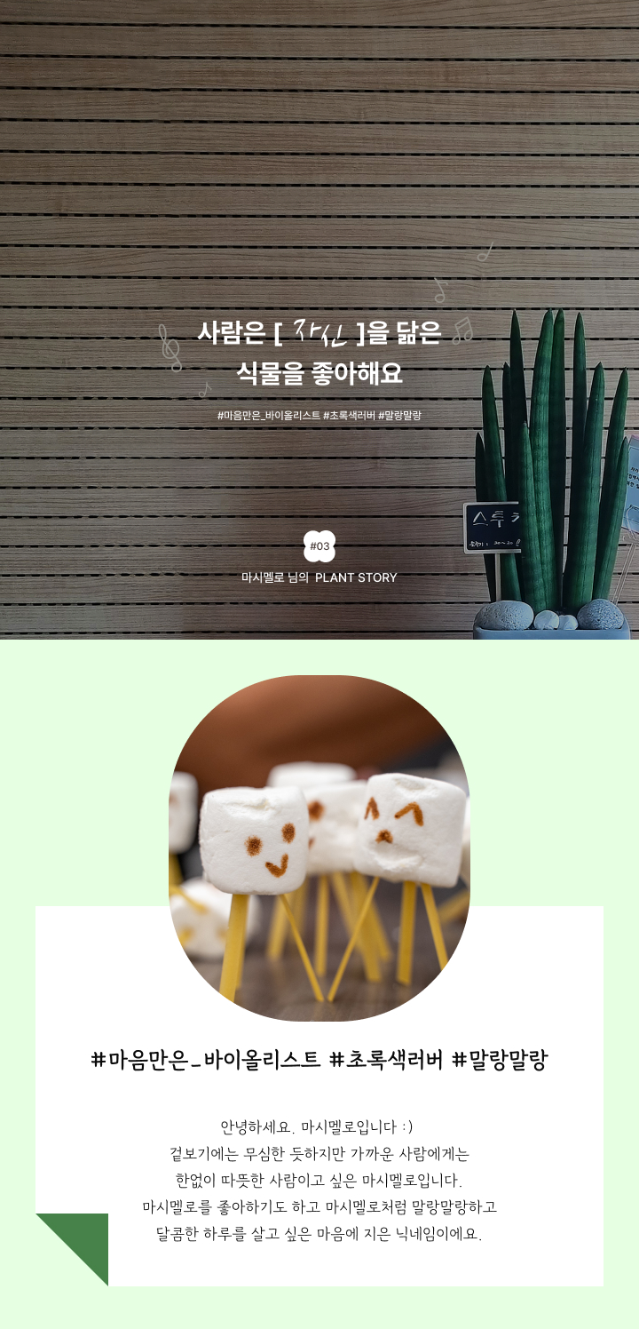 스투키,꽃집청년들, 마시멜로