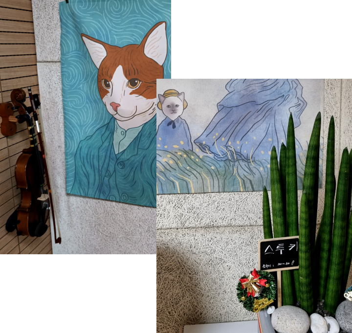 바이올린, 고양이, 스투키