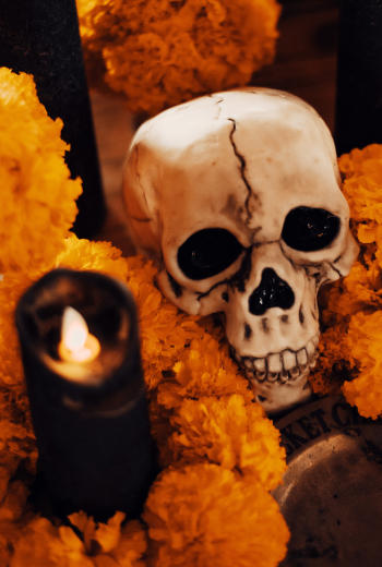 코코 꽃,죽은자의날 꽃,메리골드,마리골드