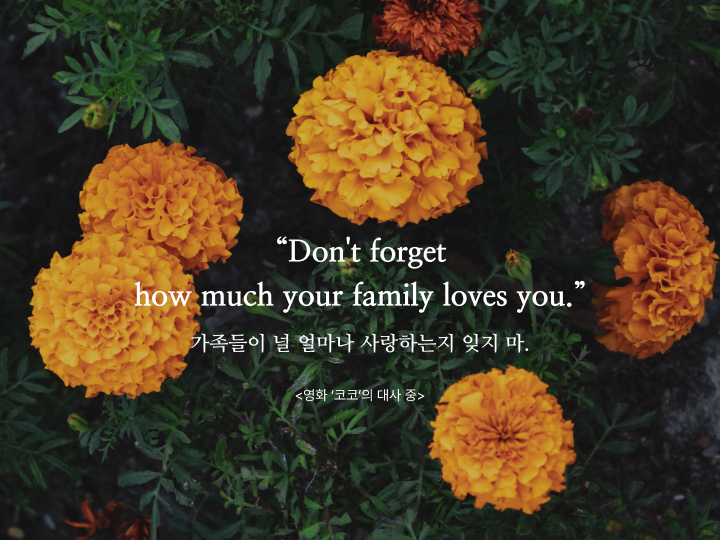 코코명언,코코대사,코코꽃,메리골드