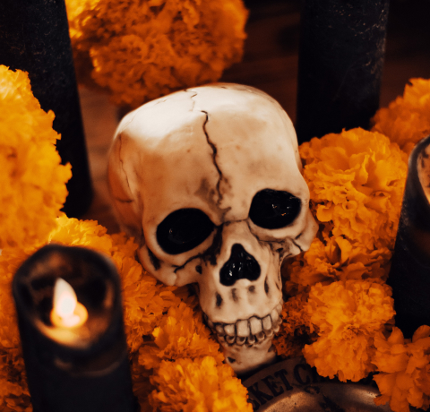 코코 꽃,죽은자의날 꽃,메리골드,마리골드