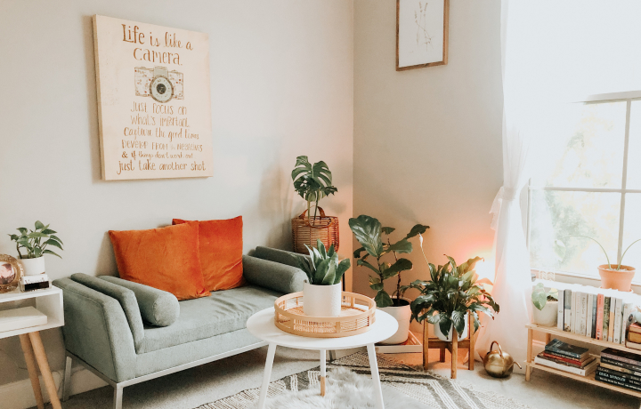 식물은 수분을 어떻게 만들어 낼까요