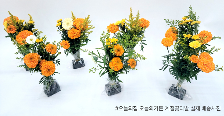 꽃집청년들 오늘의 집 오늘의 가든