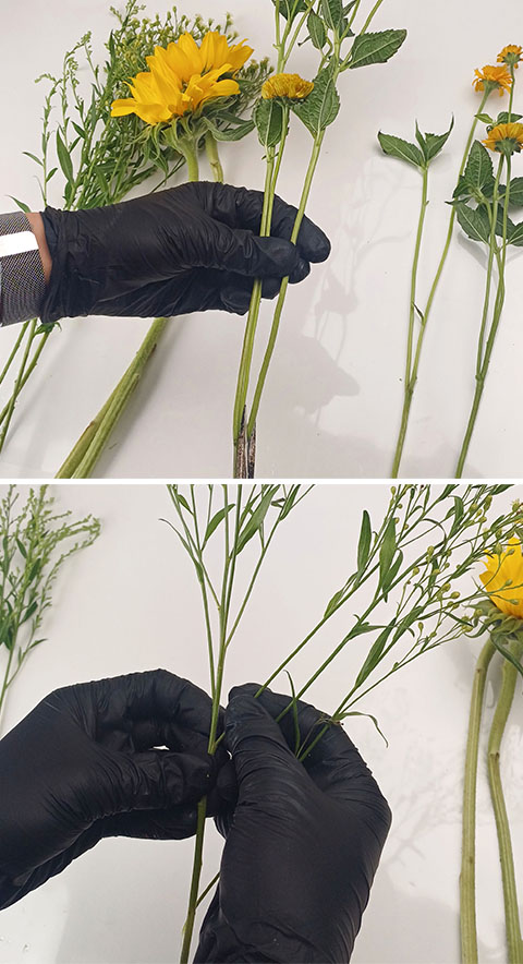 해바라기꽃다발 꽃 그린소재 컨디셔닝