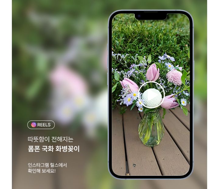 꽃집청년들 폼폰 소국 튤립 화병꽂이